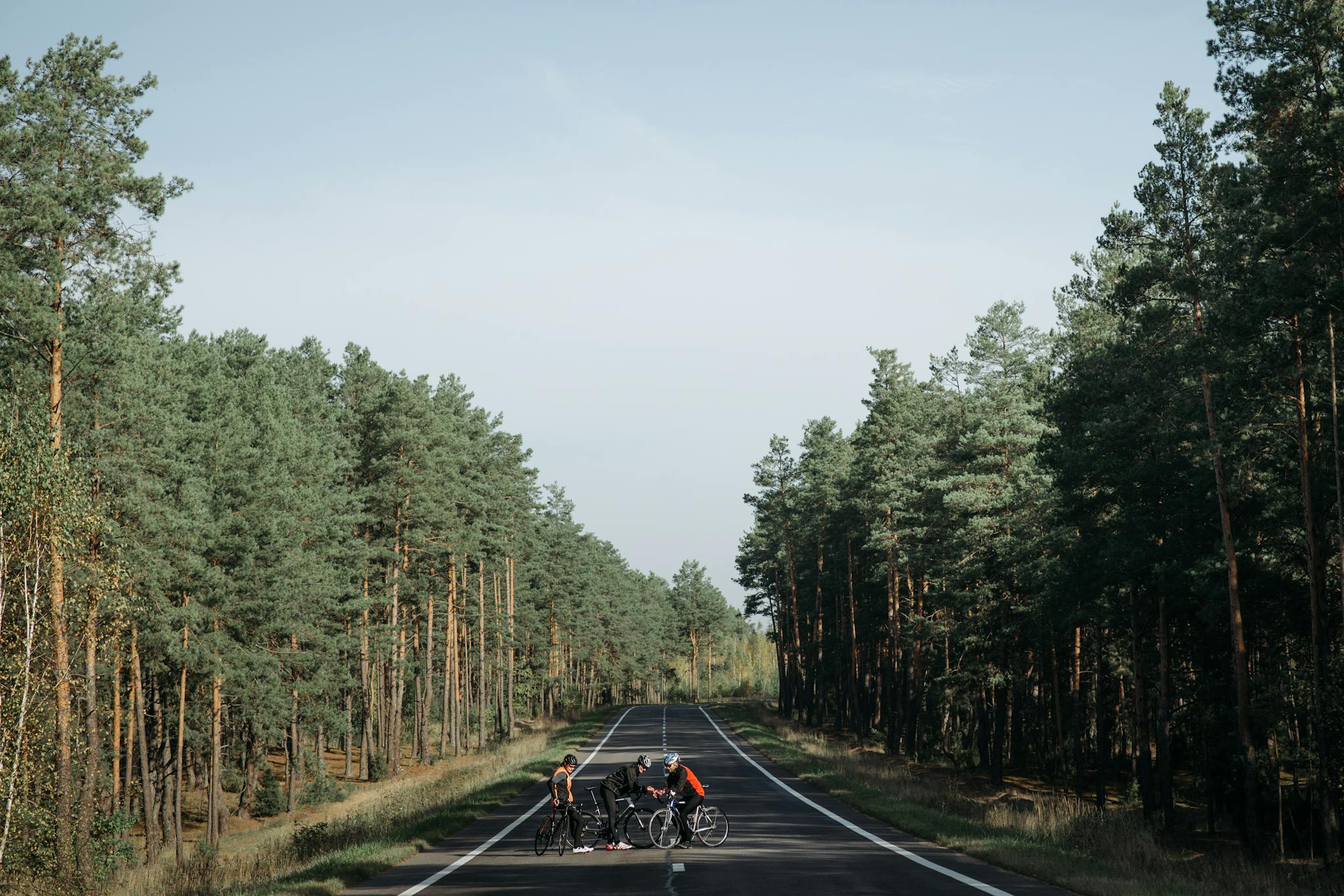 Group of cyclists resting on a quiet road in a forested countryside area.